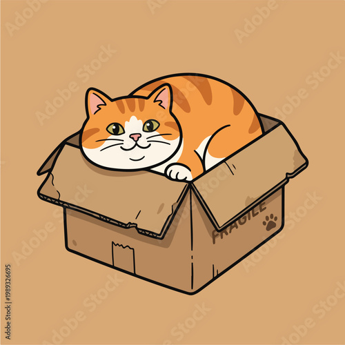 Cat Sitting in Cardboard Box.