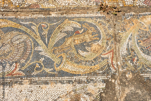 Mosaic on the floor of a Roman villa, at Bulla Regia, outside of Jendouba, Tunisia