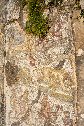 Mosaic of a hunt scene on the floor of a Roman villa, at Bulla Regia, outside of Jendouba, Tunisia