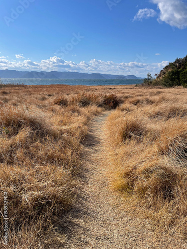 Beautiful coastline in Naoshima, Japan, with dry grass in the foreground