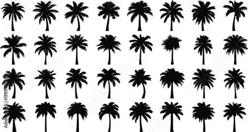 A collection of stylized silhouettes of palm trees arranged in a grid pattern. Vector