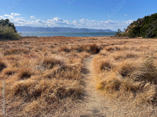 Beautiful coastline in Naoshima, Japan, with dry grass in the foreground