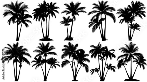 Vector set of clustered areca palm tree silhouettes in solid black, featuring natural grouping and clean shapes, perfect for tropical scenes, landscapes, and modern design projects.