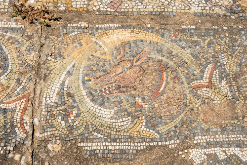 Mosaic of a boar on the floor of a Roman villa, at Bulla Regia, outside of Jendouba, Tunisia