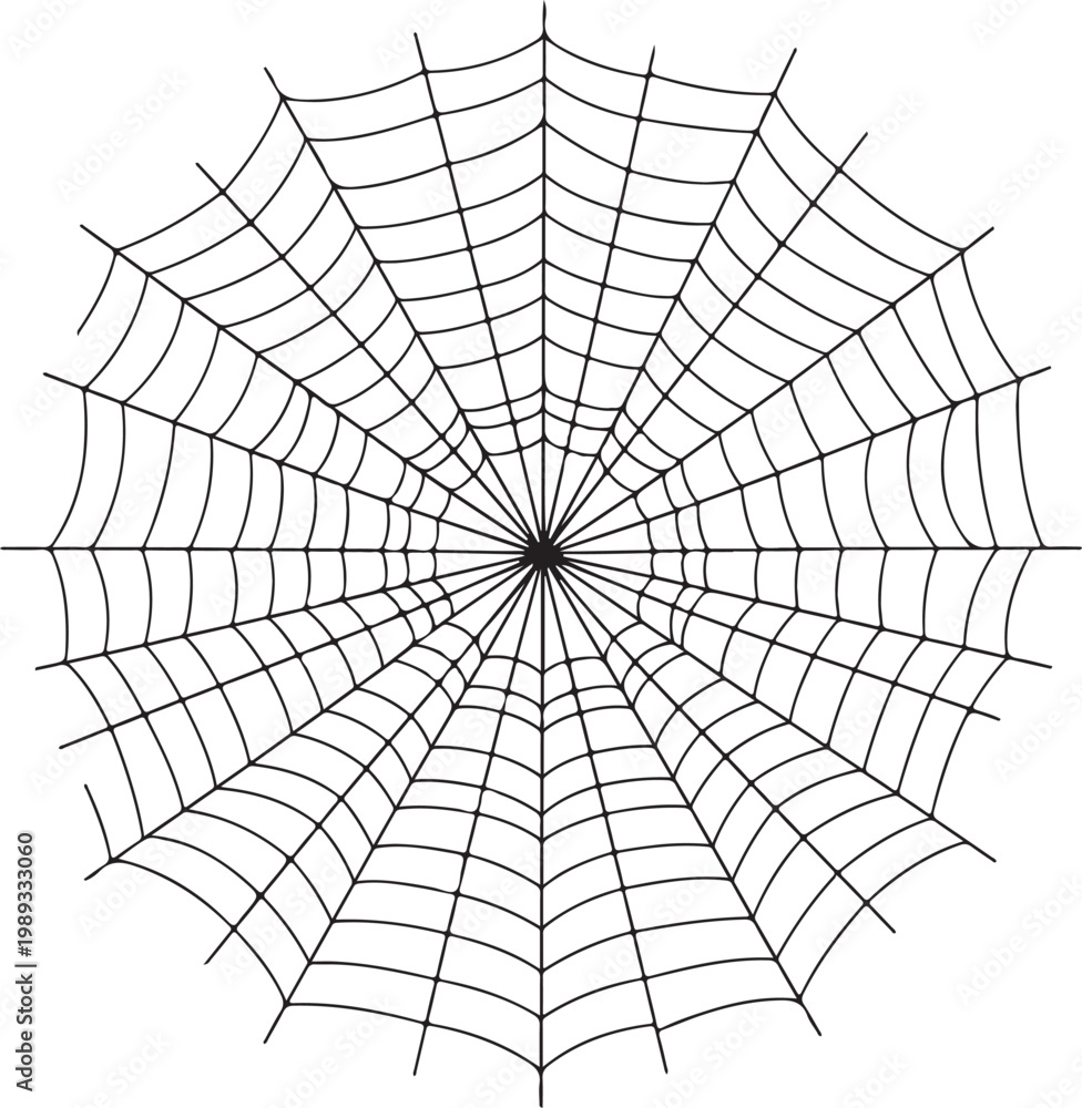 Obraz premium spider web isolated on white vector
