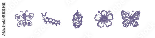 Butterfly life cycle icons: butterfly, caterpillar, chrysalis, flower