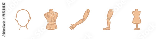 Mannequin parts and headless figure in flesh tones on white