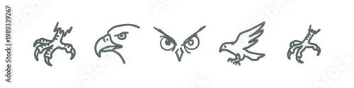 Hand-drawn bird of prey icons: claw, eagle head, owl eyes, flying bird.