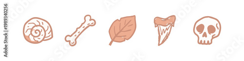 Natural History and Fossil Icons with Seashell Bone Leaf and Skull