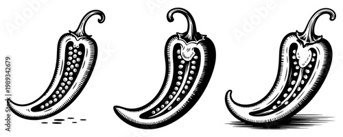 Vector illustration of three sliced jalapeno peppers in a row