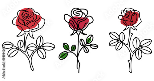 Red rose flowers and buds vector graphic illustration set