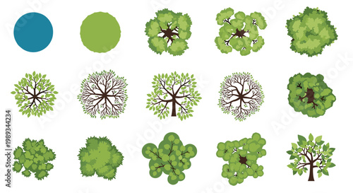 Comprehensive set of various tree top view icons for architectural site planning and landscape design, flat vector symbols for garden maps.
