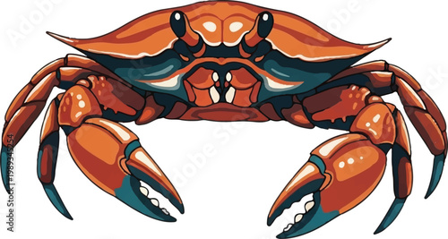 A detailed front view of a reddish orange and blue crab showcasing its strong claws and watchful eyes ready for ocean life activity