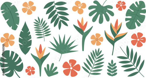 Minimal tropical leaves and flowers illustration with monstera palm and hibiscus flat vector design on white background