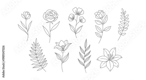 vector set of flowers