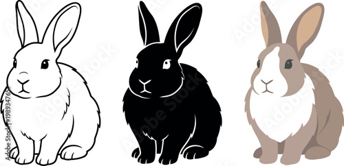 Three rabbits in different colors sitting alone facing front  white black brown