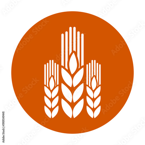 Wheat or barley ears icon isolated on transparent background