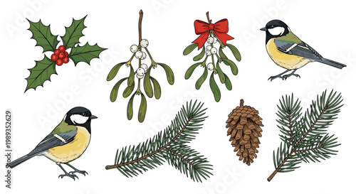 Hand-drawn winter botanical collection featuring titmouse birds, holly, mistletoe, pine branches, and pine cones for holiday decor.