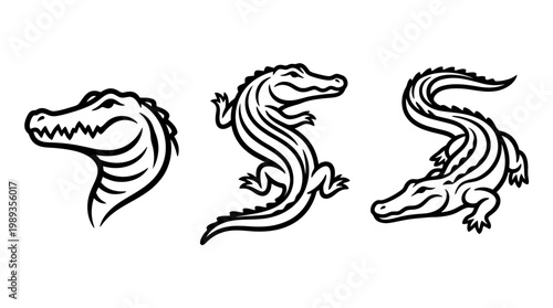 Three Detailed Black and White Alligator Illustrations on White Background.