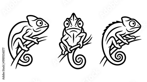 Three Detailed Black and White Chameleon Line Art Illustrations.