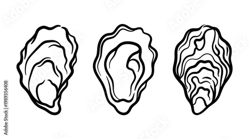 Three Detailed Oyster Shells Isolated on White Background.