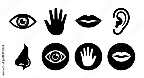 Human sensory organs icon set, five senses vector symbols including eye, ear, nose, hand, and lips, black silhouette anatomy illustrations for medical education