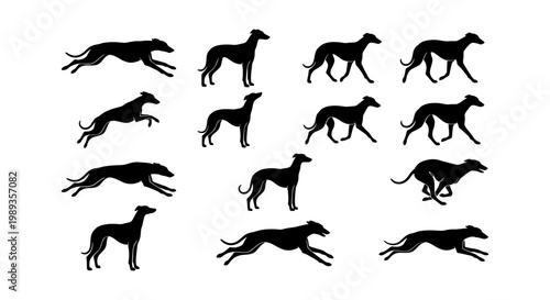 Greyhound dog silhouettes in various poses, set of 13 black canine vector icons, running and standing whippet hunting dog graphics for logo design