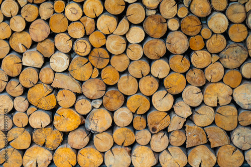 Background texture of stacked wooden logs and timber circles.
