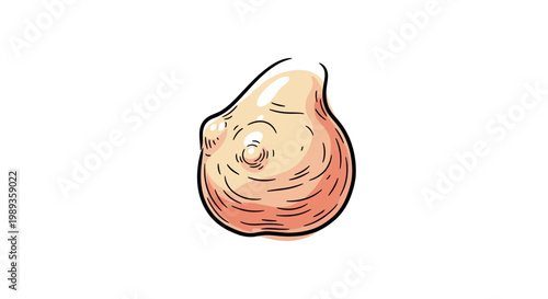 Illustration of a human female breast with anatomical features.