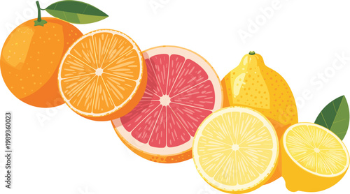 Fresh Sliced Citrus Fruit Set with Orange, Pink Grapefruit, and Lemon Halves for Healthy Food and Summer Beverage Designs
