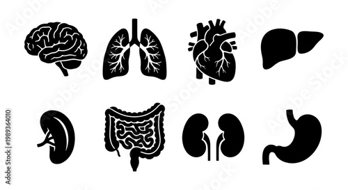 Human internal organs icon set, 8 black silhouette medical symbols of brain, lungs, heart and liver, anatomical body part vector illustrations