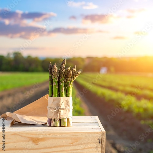 Fresh Green Asparagus Bunch Wrapped In Paper On Wooden Crate In Farm Field At Sunset