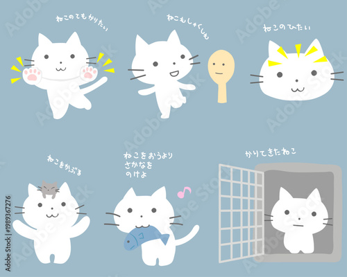 かわいい白猫のことわざ