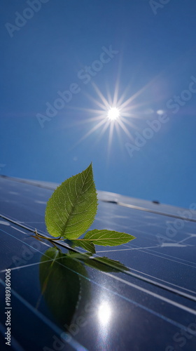 Low-angle photorealistic shot of green leaf on solar panel under bright sun