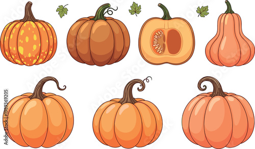 Pumpkin Variety Set with Whole, Cut, and Decorative Gourds Autumn Vegetable Vector Illustration for Halloween, Harvest Festival, and Seasonal Food Design