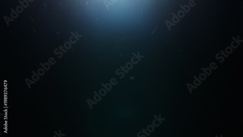 dust particles floating mid air over dark background with some lens flare