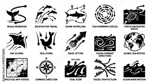 Oceanic migration and navigation vector graphic illustrations set