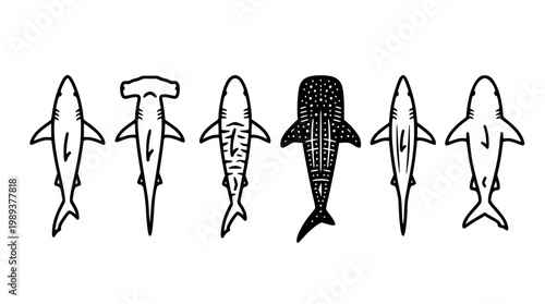 Various vector shark illustrations in different styles and patterns