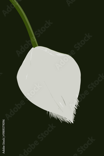A single snowdrop flower with a delicate white bloom and green stem