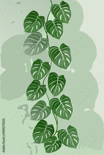 A vibrant monstera vine with fenestrated leaves cascades down a light green background