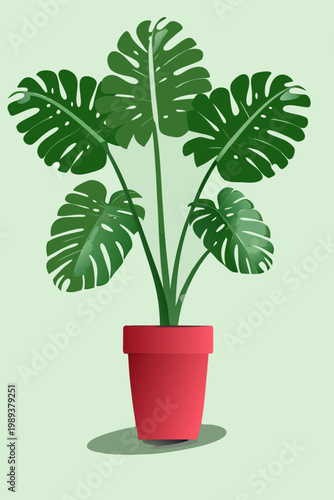 A vibrant monstera deliciosa plant in a bright red flowerpot