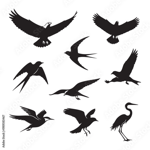 Collection of various bird silhouettes in different flying positions