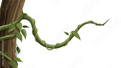 Thick green tropical vine with small leaves twists and winds around a textured brown tree trunk against a white background.