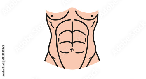 Muscular male torso with defined abdominal muscles.