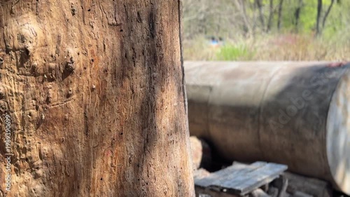 Small dog running along park path, outdoor activity and pet lifestyle concept, movement and energy, nature environment, sunny day, natural scene