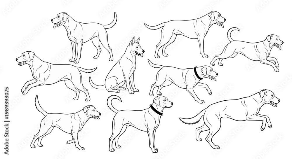 Fototapeta premium Collection of Line Art Dog Illustrations in Various Poses and Breeds