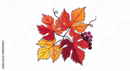 Colorful autumn leaves and grapes on a white background