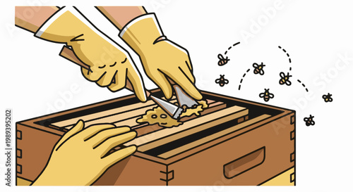Beekeeper tending to hive, removing honeycomb with tools