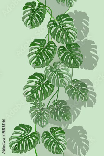 Stylized monstera deliciosa leaves against a soft pastel green background