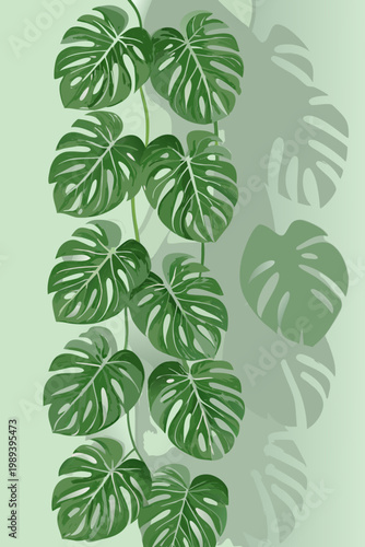 Stylized monstera deliciosa leaves cascade down a muted green background